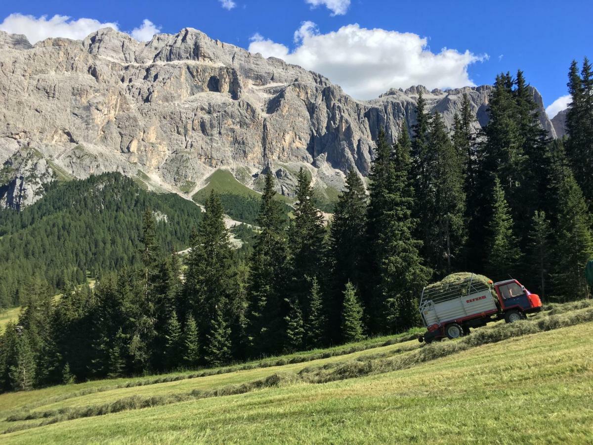 Chalet Albric セルヴァ・ディ・ヴァル・ガルデーナ エクステリア 写真